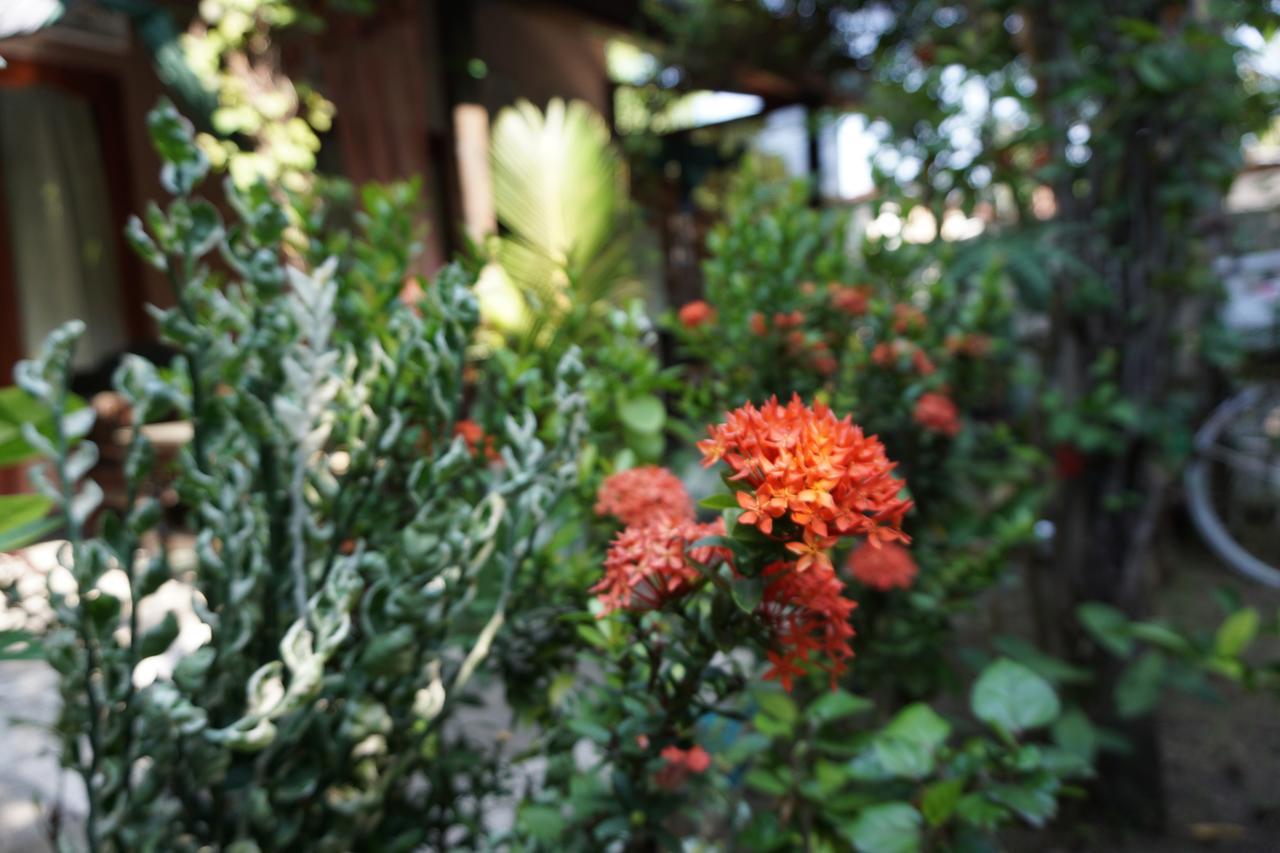 Salon De Nomad Gili T. Bed & Breakfast กีลีตราวางัน ภายนอก รูปภาพ